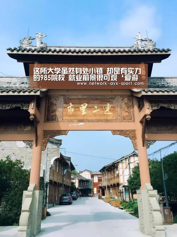 这所大学虽然身处小镇 却是有实力的985院校 就业前景很可观‘爱游戏首页’(图2) 爱游戏官网