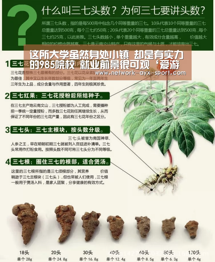 这所大学虽然身处小镇 却是有实力的985院校 就业前景很可观‘爱游戏首页’(图1) 爱游戏体育