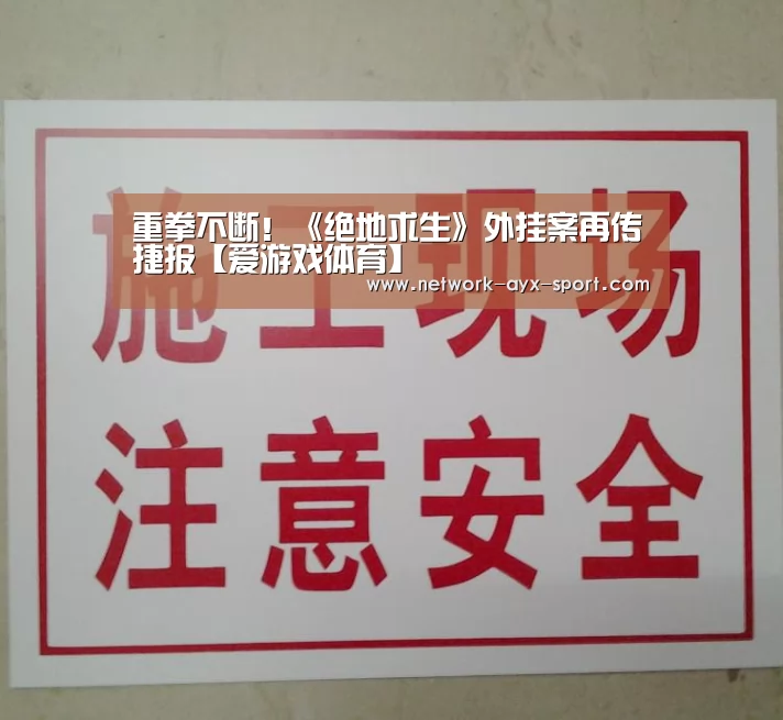 重拳不断!《绝地求生》外挂案再传捷报【爱游戏体育】(图1) 爱游戏首页