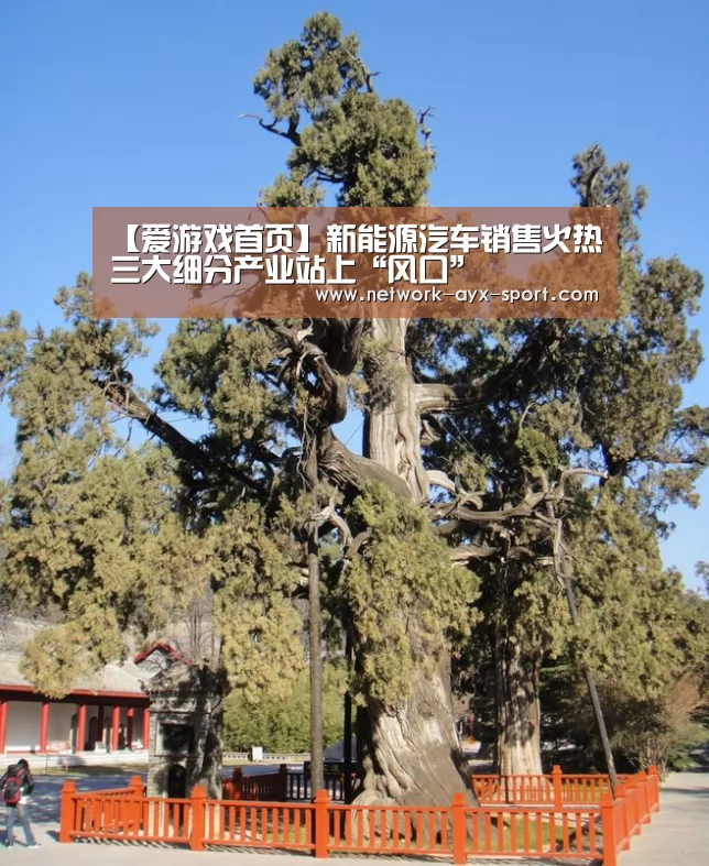 爱游戏官网