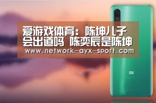 爱游戏体育:陈坤儿子会出道吗 陈奕辰是陈坤表弟吗两人什么关系(图4) 爱游戏体育