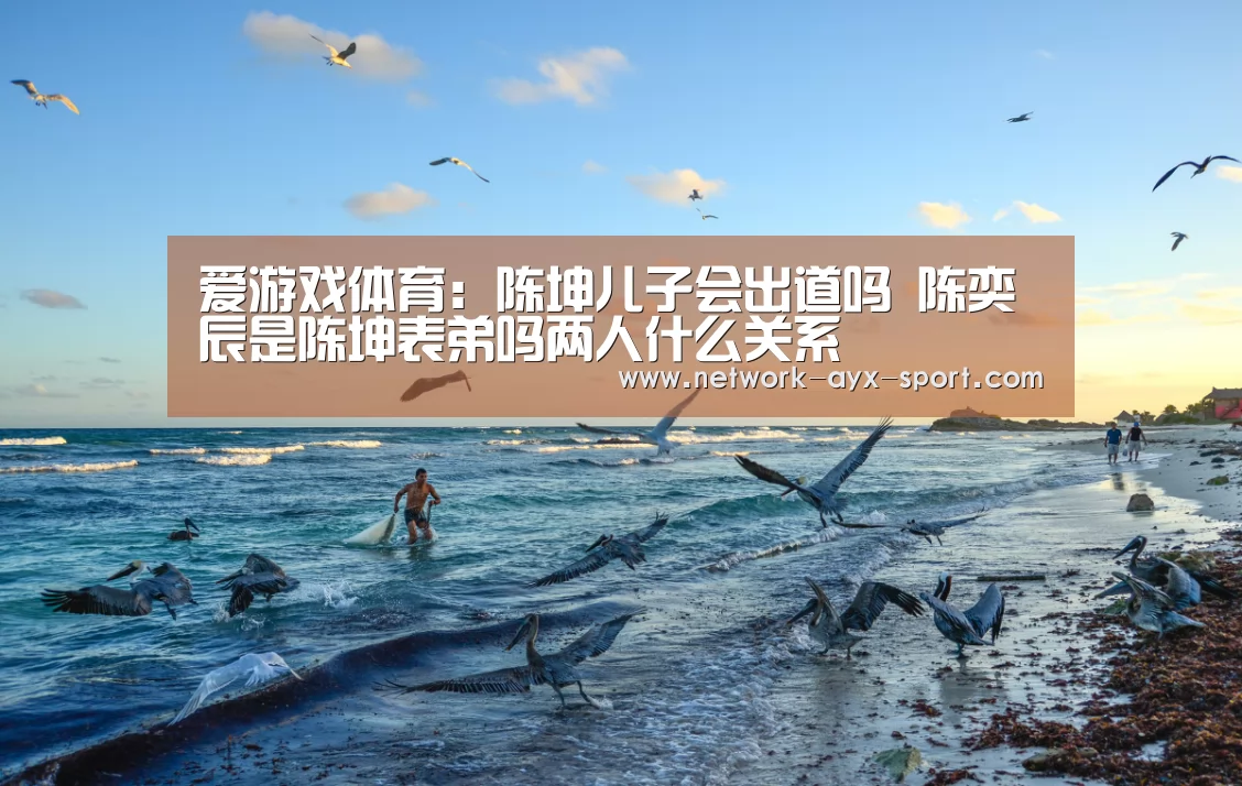 爱游戏体育:陈坤儿子会出道吗 陈奕辰是陈坤表弟吗两人什么关系(图3) 爱游戏网站