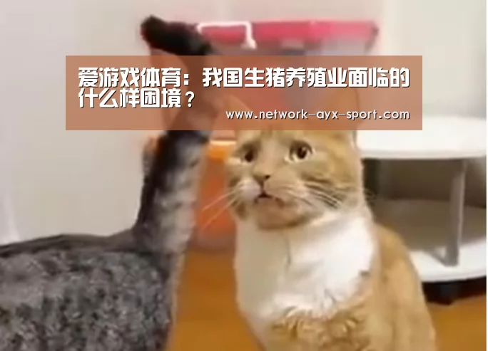 爱游戏体育:我国生猪养殖业面临的什么样困境?(图1) 爱游戏官网