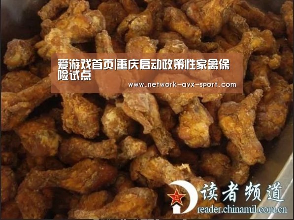 爱游戏首页|重庆启动政策性家禽保险试点(图2) 爱游戏网站