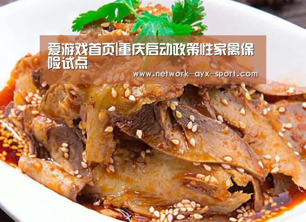 爱游戏首页|重庆启动政策性家禽保险试点(图1) 爱游戏官网