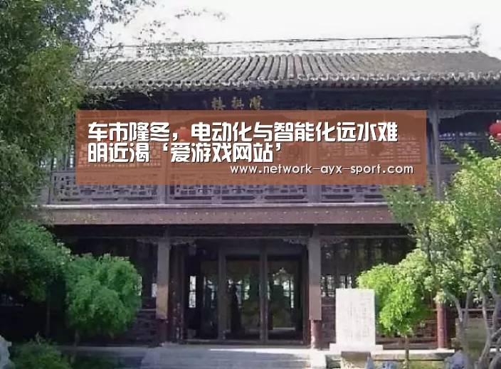 车市隆冬,电动化与智能化远水难明近渴‘爱游戏网站’(图2) 爱游戏首页