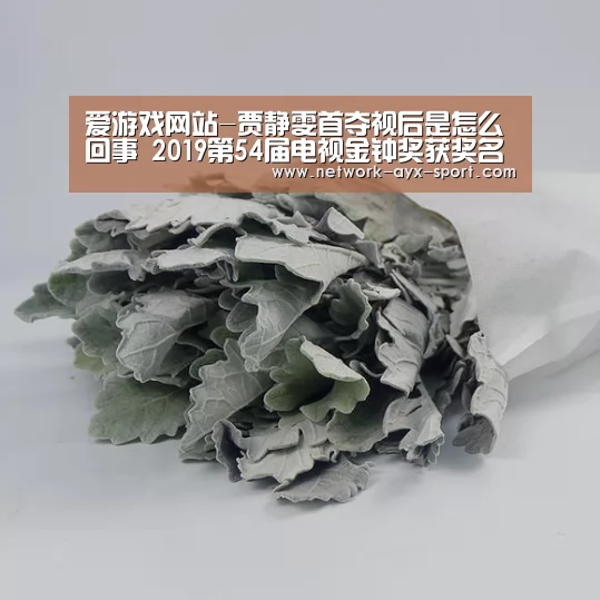 爱游戏体育
