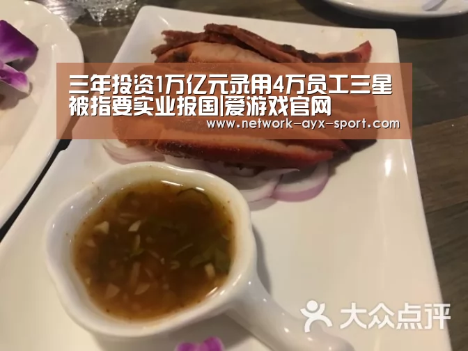三年投资1万亿元录用4万员工三星被指要实业报国|爱游戏官网(图2) 爱游戏官网