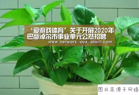 ‘爱游戏体育’关于开展2020年巴彦淖尔市事业单元公然招聘报名事情的通知(图1) 爱游戏官网
