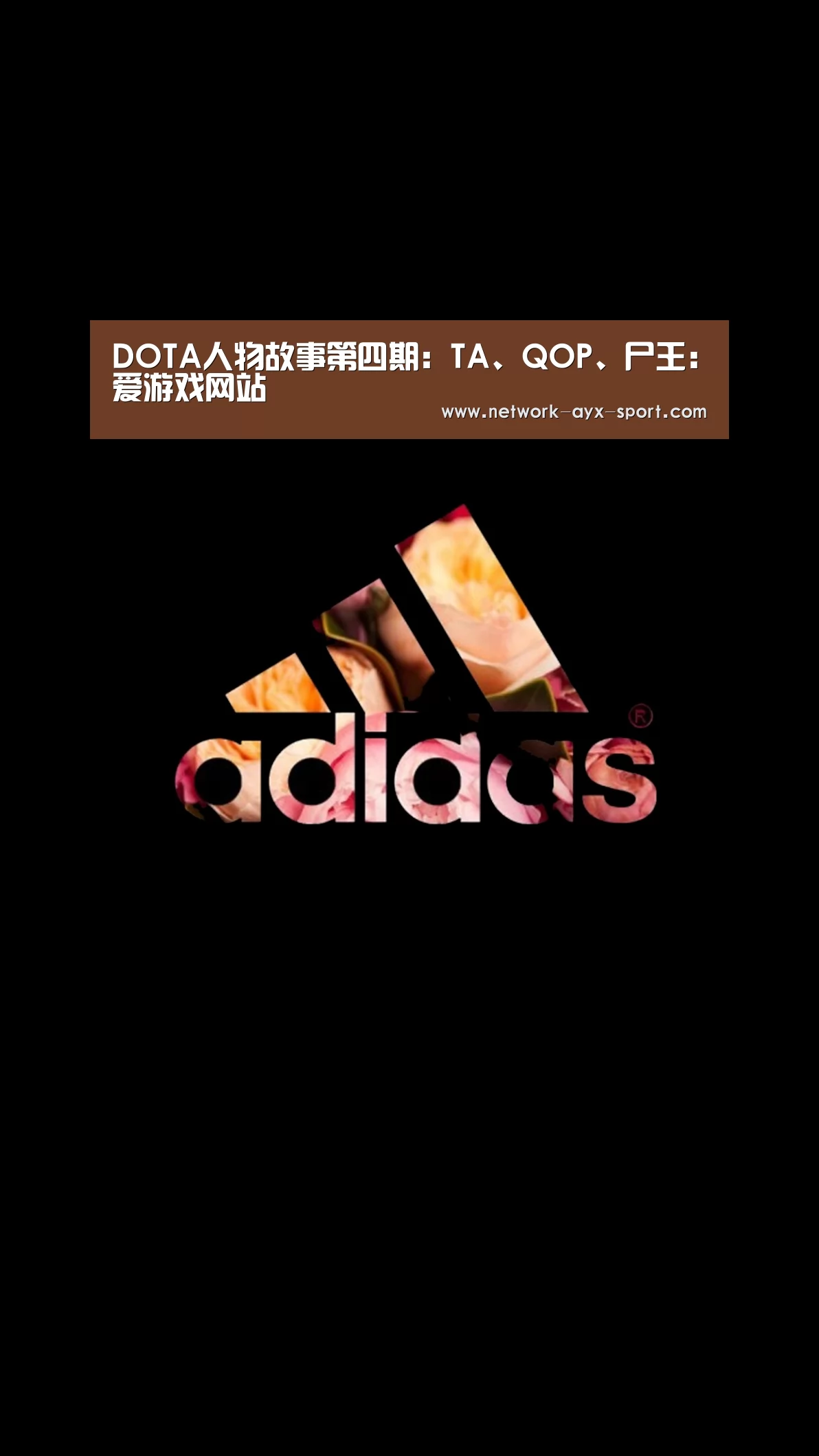 DOTA人物故事第四期:TA、QOP、尸王:爱游戏网站(图1) 爱游戏体育