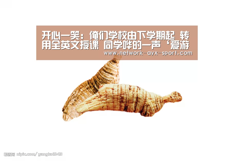 开心一笑:俺们学校由下学期起 转用全英文授课 同学哗的一声‘爱游戏首页’(图1) 爱游戏官网