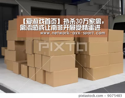 爱游戏网站