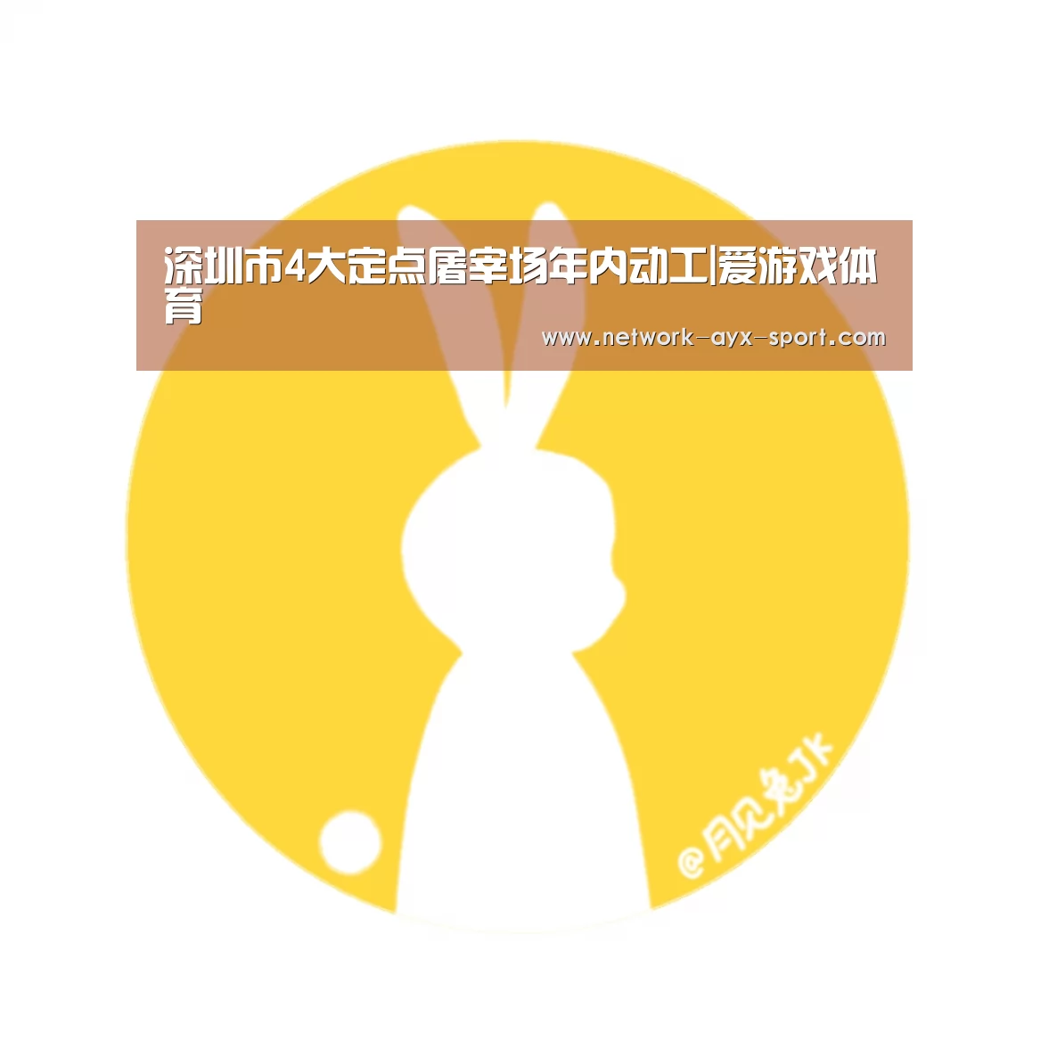 深圳市4大定点屠宰场年内动工|爱游戏体育(图1) 爱游戏体育