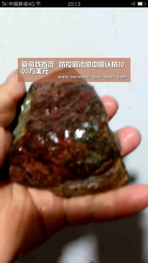 爱游戏首页-防控禽流感中国认捐1000万美元(图1) 爱游戏首页