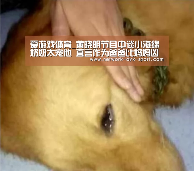 爱游戏体育_黄晓明节目中谈小海绵奶奶太宠他 直言作为爸爸比妈妈凶一点(图4) 爱游戏网站