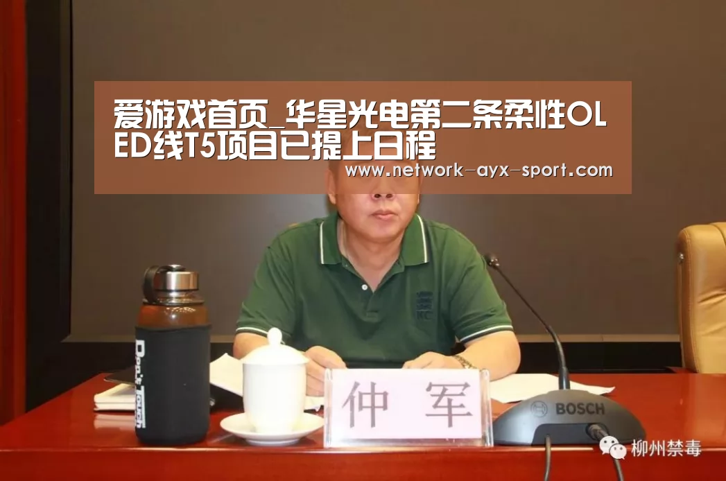爱游戏首页_华星光电第二条柔性OLED线T5项目已提上日程(图1) 爱游戏首页